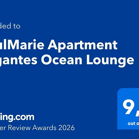 Gigantes Ocean Lounge Apartment With Ocean View Terrace Apartment